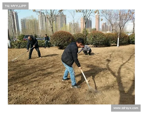 斯坦福桥草皮质量优良,养护工作广受好评 斯坦福桥草皮质量优良,养护工作广受好评